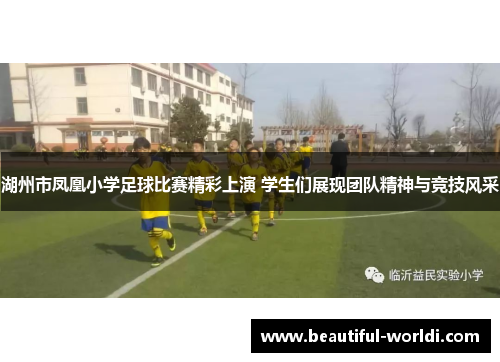 湖州市凤凰小学足球比赛精彩上演 学生们展现团队精神与竞技风采